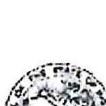 State of Indiana Seal