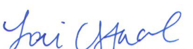Signature of Lori Stacel, Clerk of Council