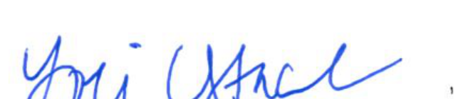 Signature of Clerk of Council