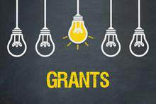 Chalkboard background with hanging lightbulbs and text GRANTS