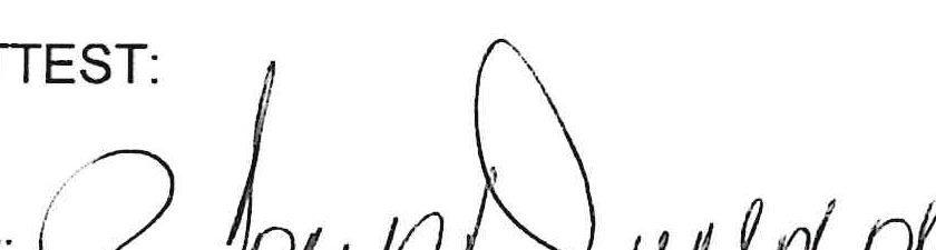 Signature of County Auditor