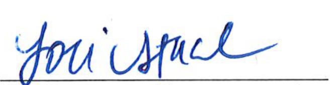 Signature of Clerk of Council