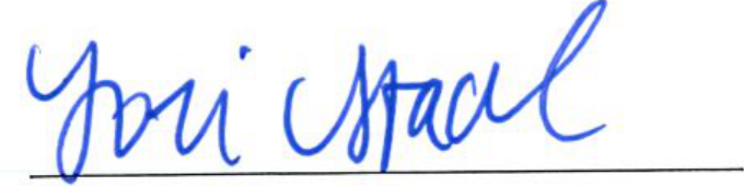 Signature of Clerk of Council