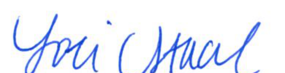 Signature of Clerk of Council