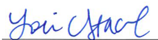 Signature of Lori Stacel, Clerk of Council