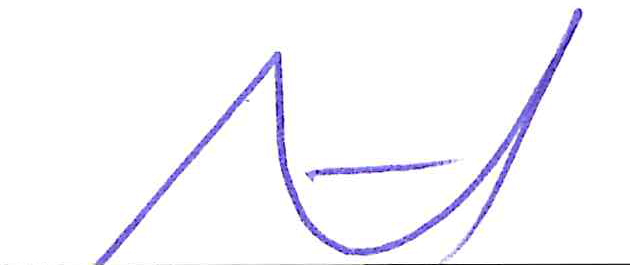 Signature of Stephen Brand