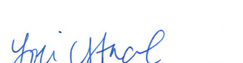 Clerk of Council signature