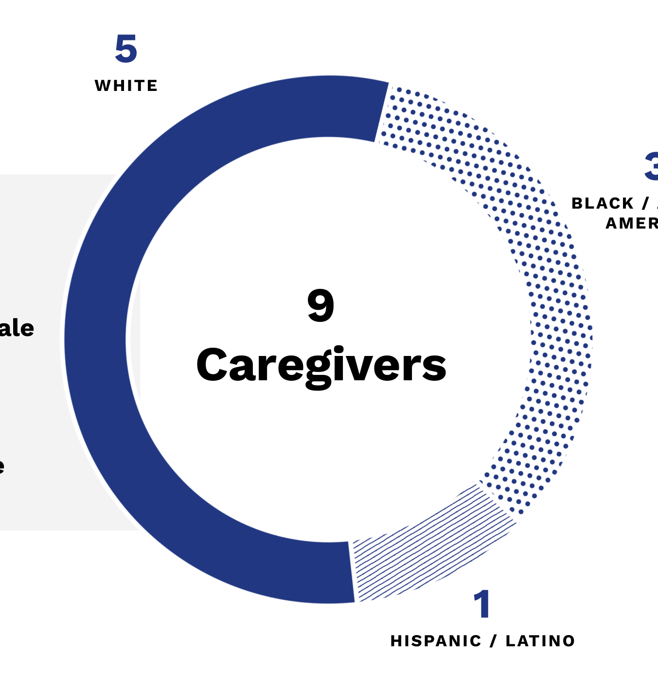 Chart showing 9 caregivers demographic breakdown