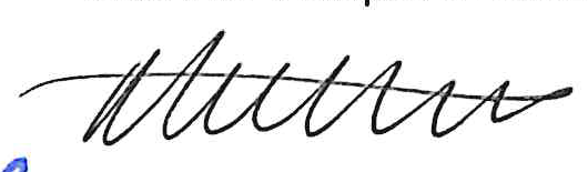 Signature of Vice Pro Tempore Kantz