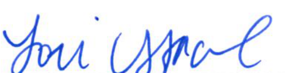 Signature of Clerk of Council Lori Ismail