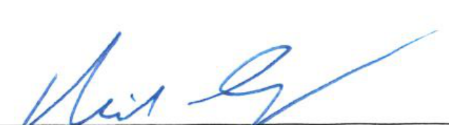 Handwritten signature of the Chair