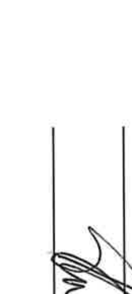 Board Member Signature 2