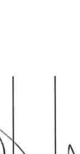 Board Member Signature