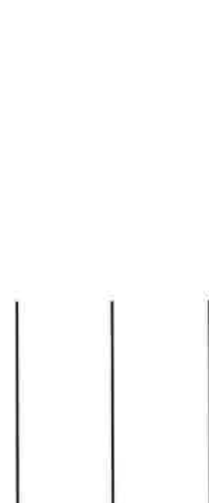 Board Member Signature