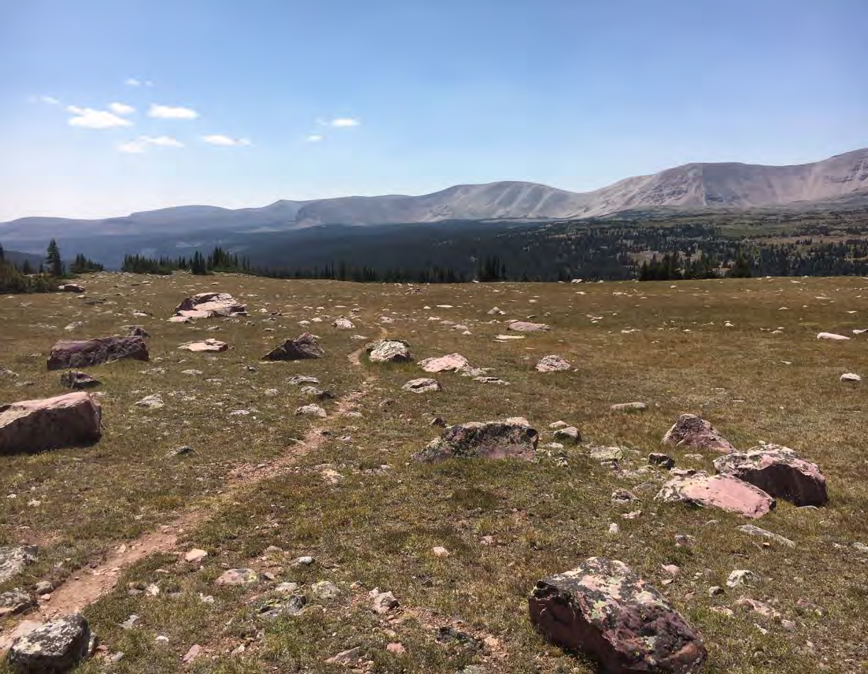 Panoramic view of mountain trail across high alpine meadows with distant peaks in Duchesne County