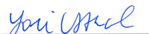 Handwritten signature of Clerk of Council