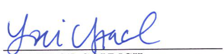 Signature of Clerk of Council
