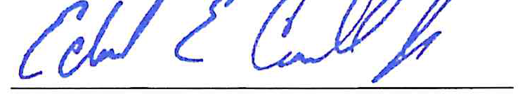 Edward E. Carroll Jr., Auditor, attestation signature.