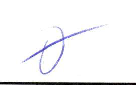Handwritten entry 0