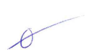 Handwritten entry 0