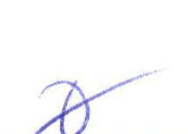 Handwritten entry 0
