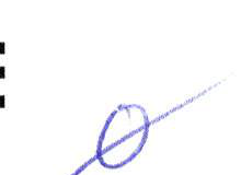 Handwritten entry 0