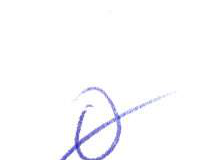 Handwritten entry 0