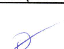 Handwritten entry 0