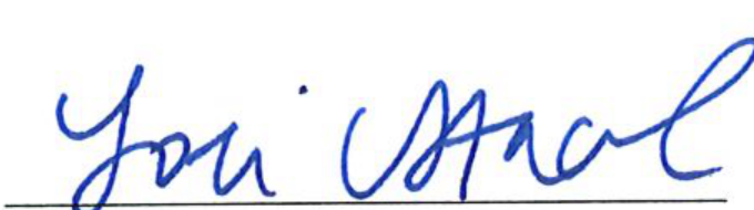 Signature of Clerk of Council