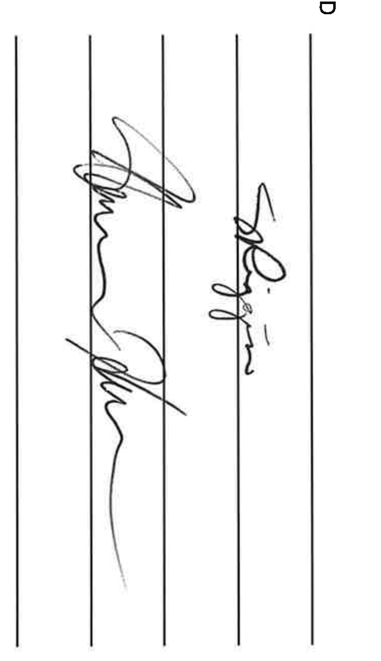 Board Member Signatures
