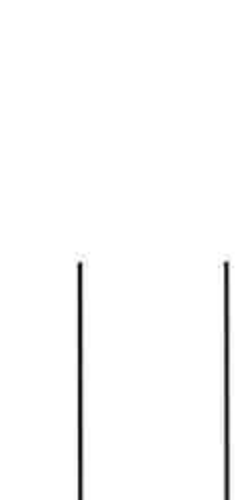 Signature of Board Member in blue ink