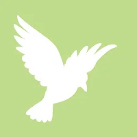 White bird flying in the sky