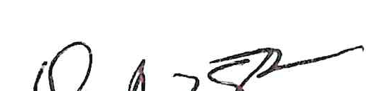 Signature of Councilmember Flanagan
