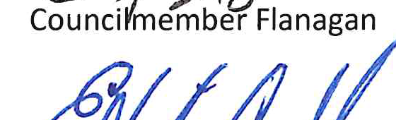 Signature of Auditor Carroll