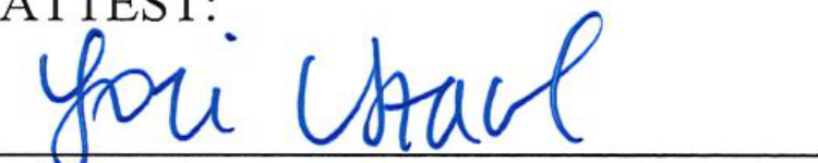 Signature of Clerk of Council