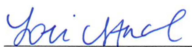 Signature of Clerk of Council