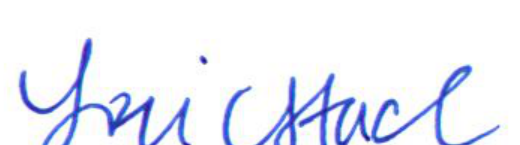 Signature of Clerk of Council