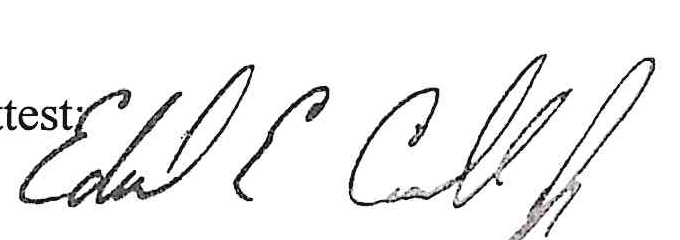 Signature of Ed Carrol Jr.
