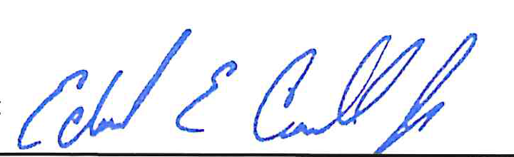 Signed auditor attestation by Ed Carroll, Delaware County Auditor