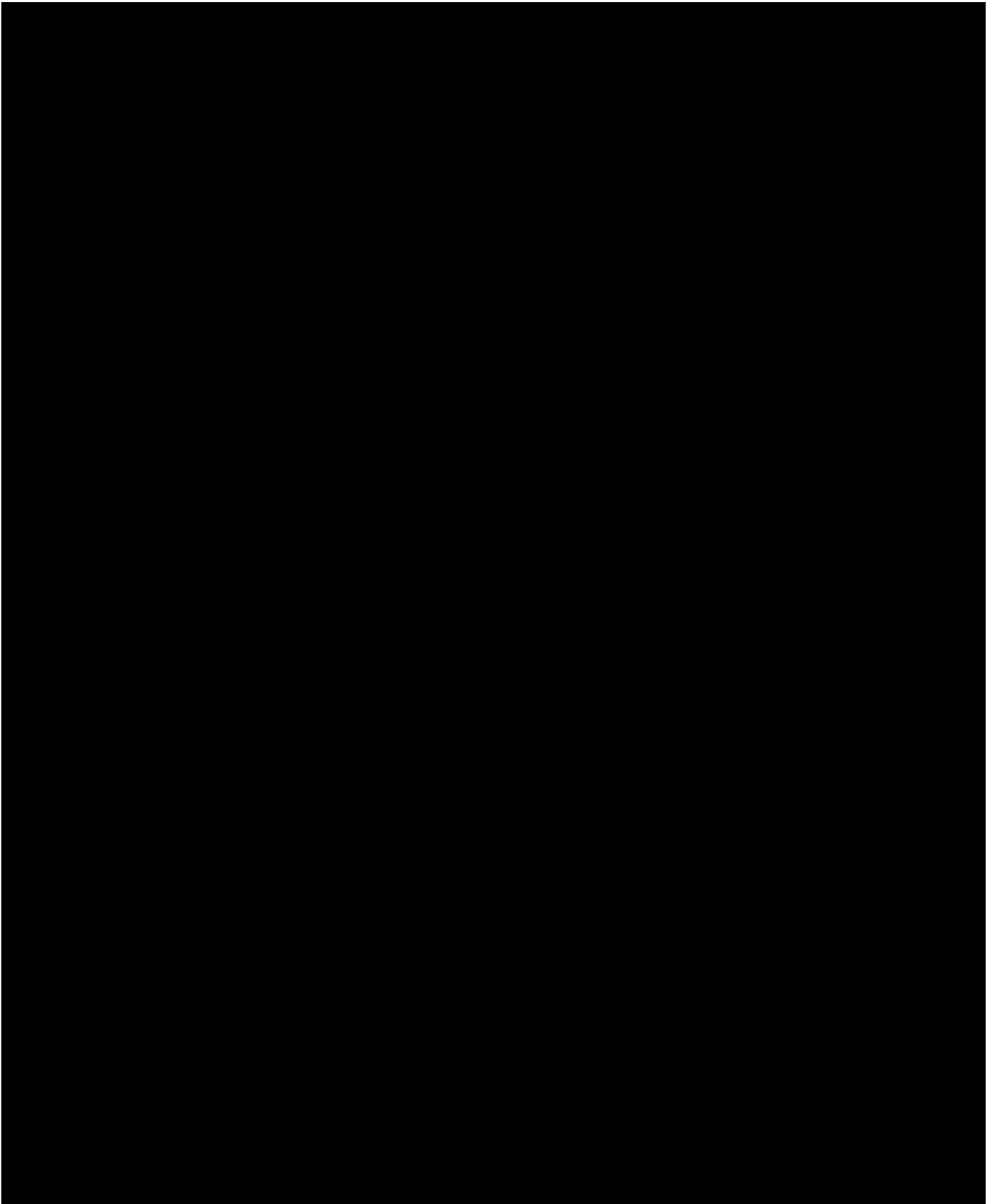 Redacted illustration of capital investment plan