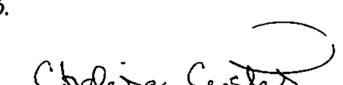 Signature of Chelise Curtis