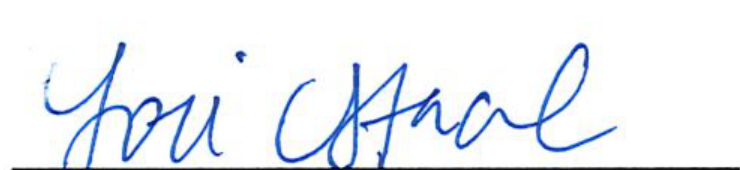 Signature of Clerk of Council Lori Stacel