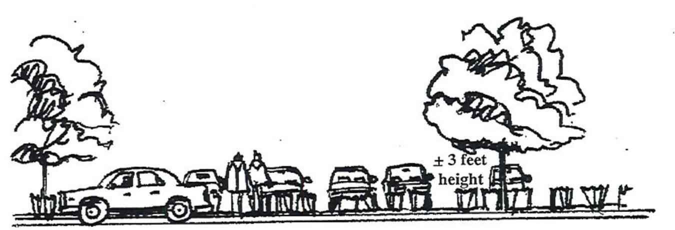 Illustration showing shrub screen and canopy trees between parking lot and main thoroughfare