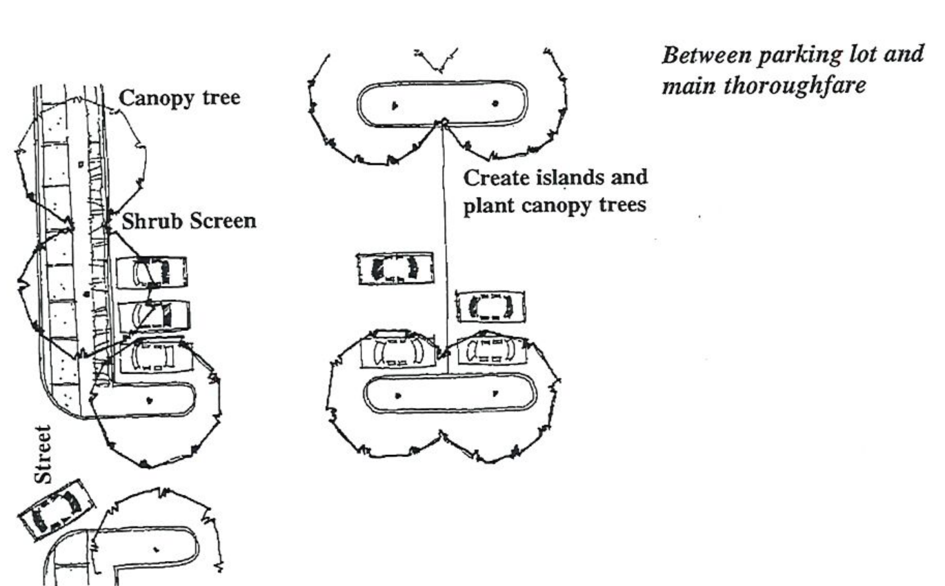Site plan diagram showing canopy trees, shrub screen along parking areas, street, and parking islands