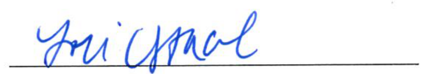 Signature of Lori Stacel, Clerk