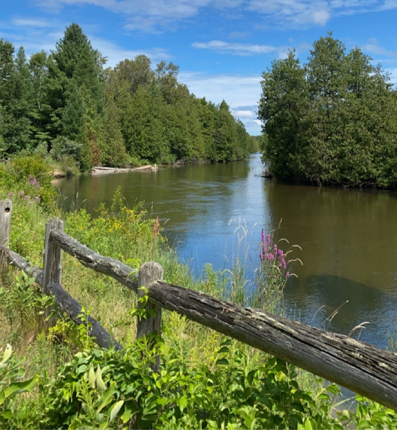 Scenic view of river surrounded by evergreen trees and a rustic wooden fence in Grand Traverse County