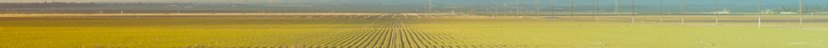 Agricultural field background footer detail