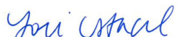 Handwritten signature of Clerk of Council