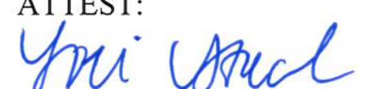 Signature of Clerk of Council
