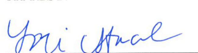 Signature of Clerk of Council